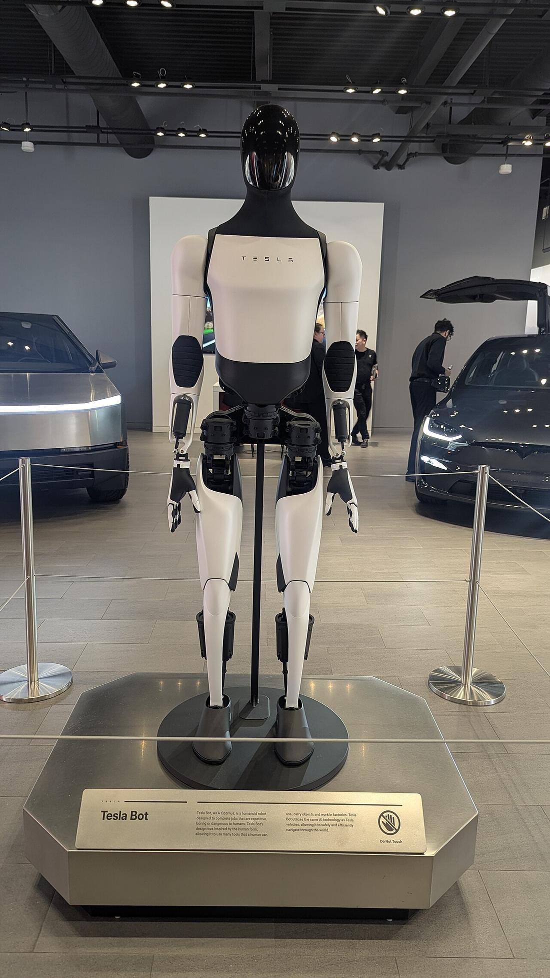 Optimus humanoid robot standing in a Tesla showroom, November 2025